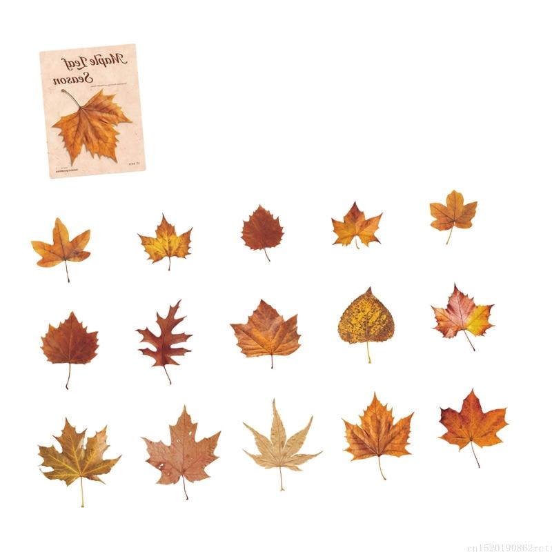 Art Craft Notebook - D5BB Theme PET Sticker for Kid