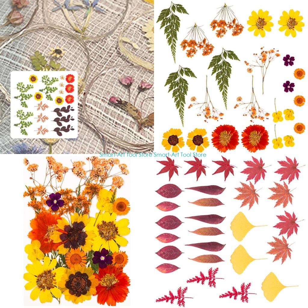 The Art And Craft Of Jewelry - E1PB Natural Dry Flower Leaves Set