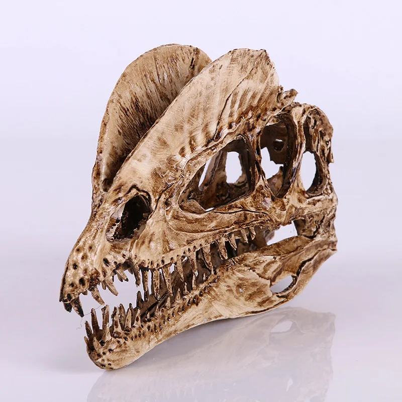 [MGT]Resin Craft Decoration Di - Dinosaur And Craft のレビューと価格