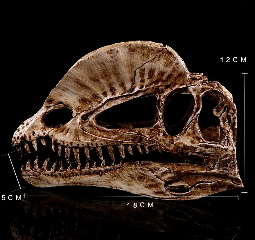 [MGT]Resin Craft Decoration Di - Dinosaur And Craft のレビューと価格