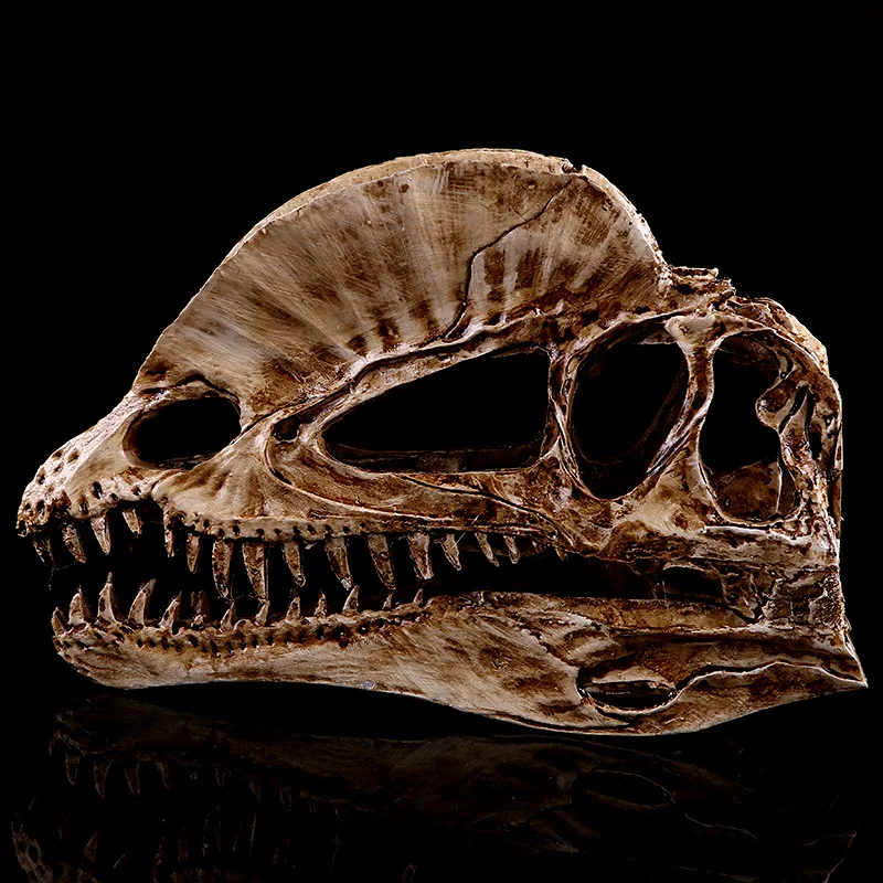 [MGT]Resin Craft Decoration Di - Dinosaur And Craft のレビューと価格