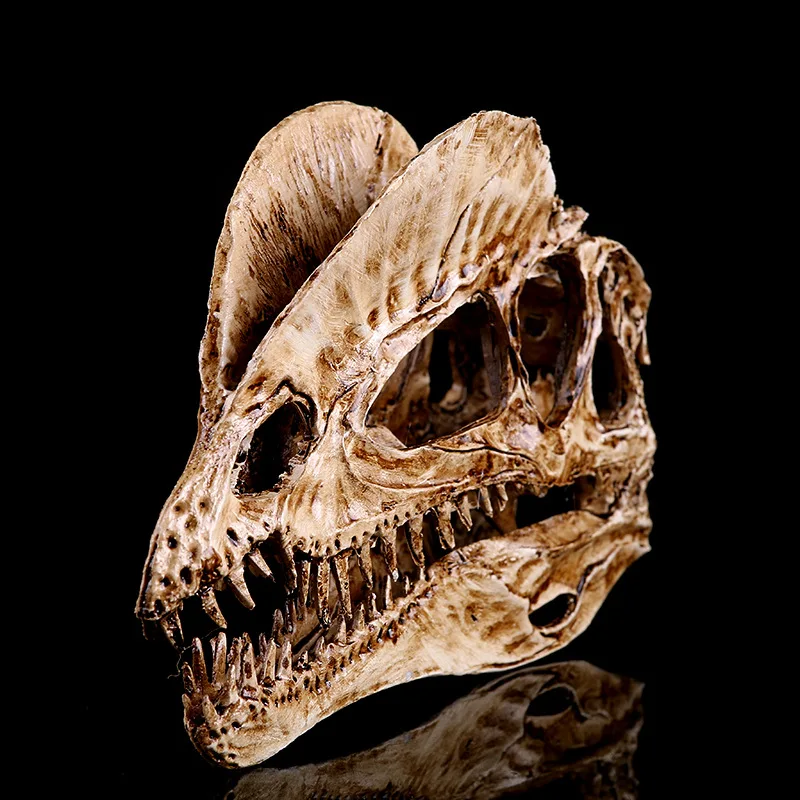 [MGT]Resin Craft Decoration Di - Dinosaur And Craft のレビューと価格