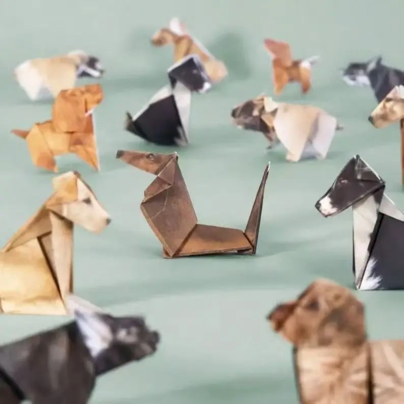 50Pcs DIY Origami Paper Kit Ca - Dinosaur And Craft のレビューと価格