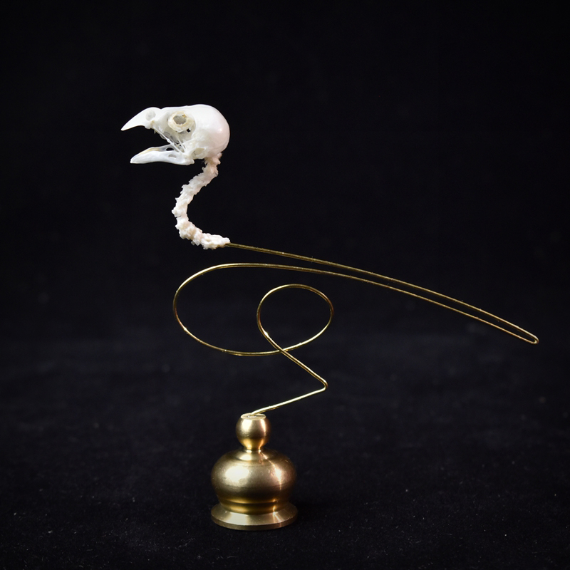 2111 Boutique Ethical Bird Sku - Art Craft Museum のレビューと価格