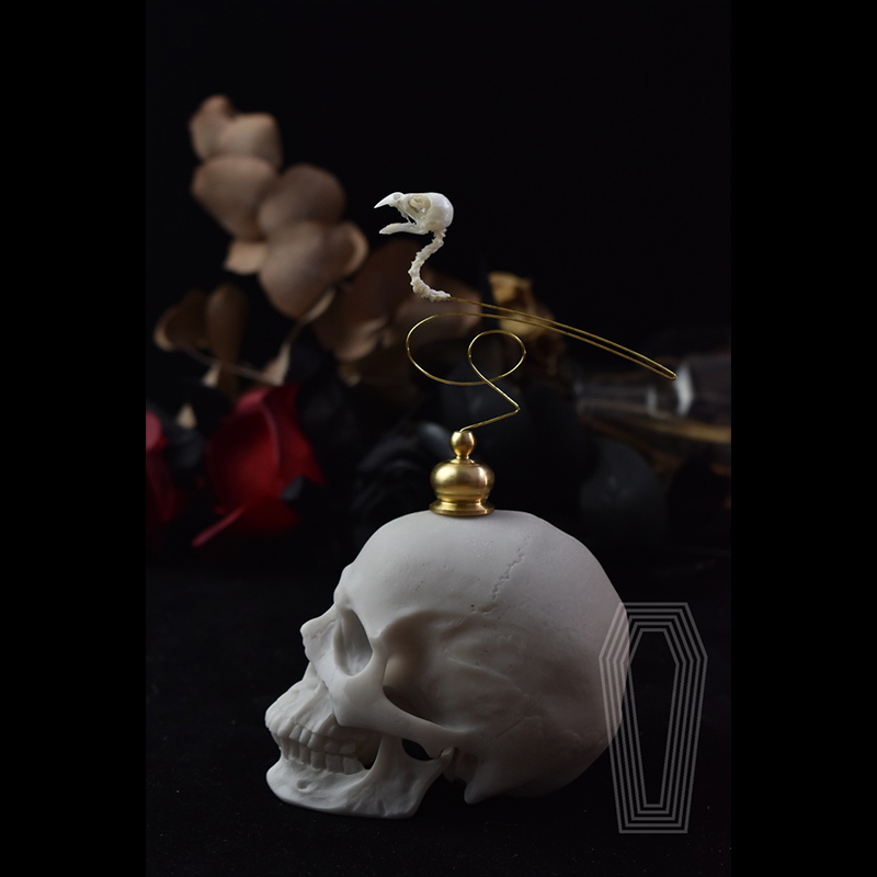 2111 Boutique Ethical Bird Sku - Art Craft Museum のレビューと価格