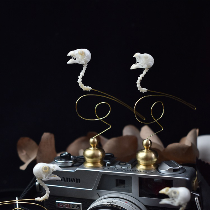 2111 Boutique Ethical Bird Sku - Art Craft Museum のレビューと価格