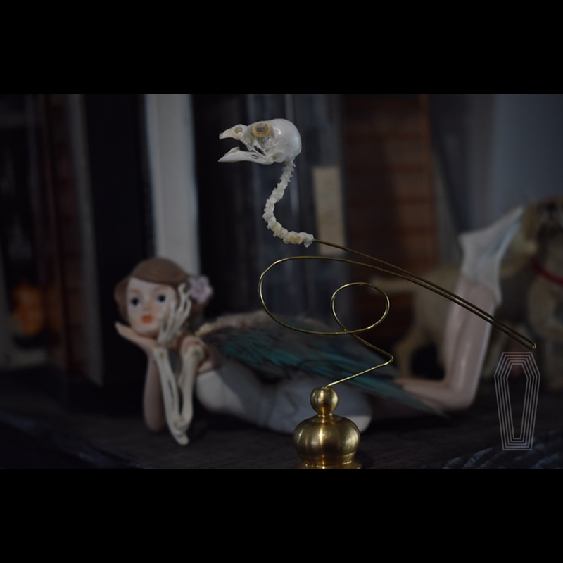 2111 Boutique Ethical Bird Sku - Art Craft Museum のレビューと価格