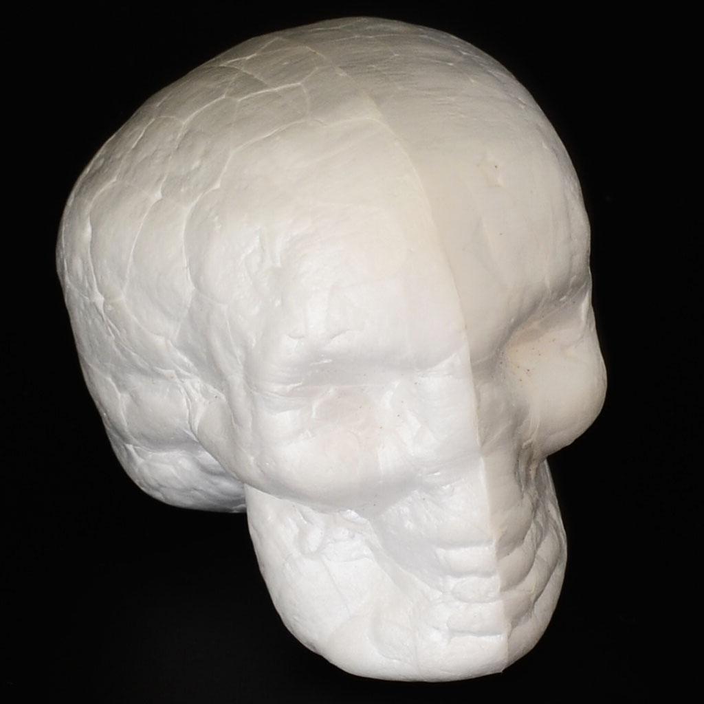 Moldable Craft Foam Skull Shap - Art Craft For Kindergarten のレビューと価格
