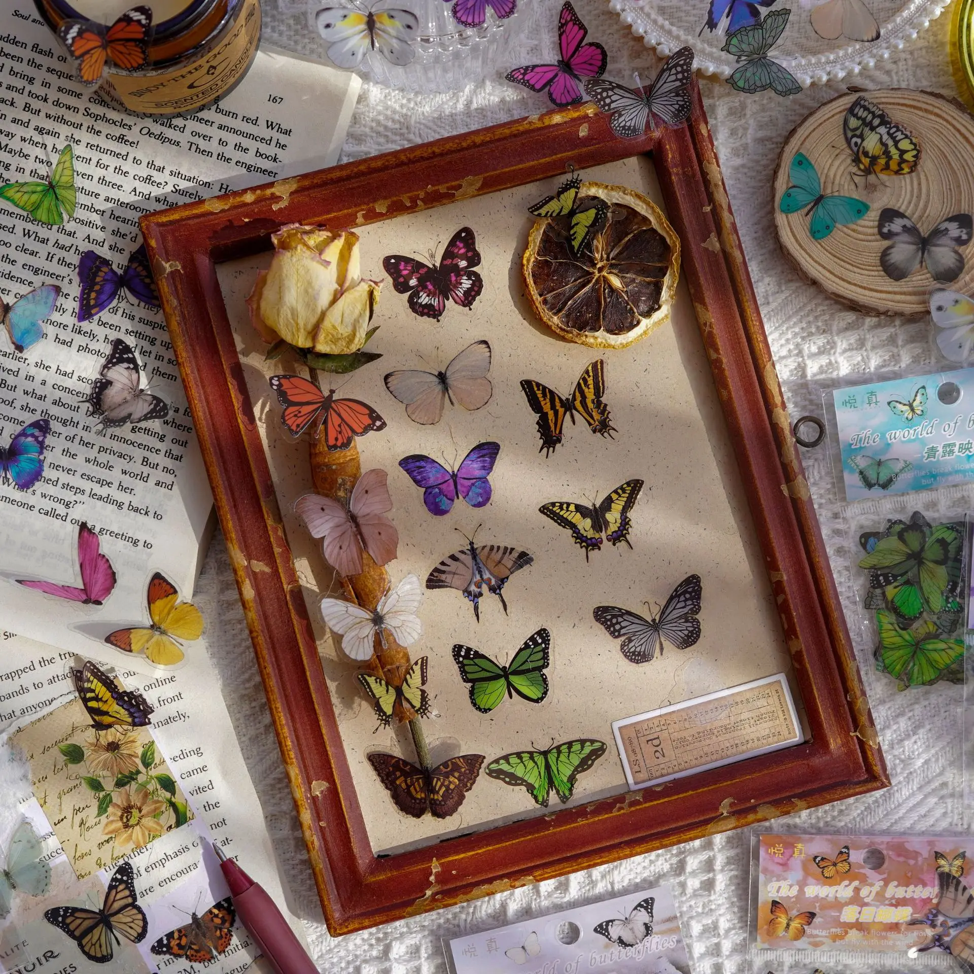 Journamm 40pcs/pack Butterfly  - Art Craft For 3 Year Old のレビューと価格