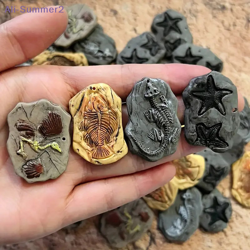 Mini Dinosaur Fossil Model Set - Dinosaur And Craft のレビューと価格