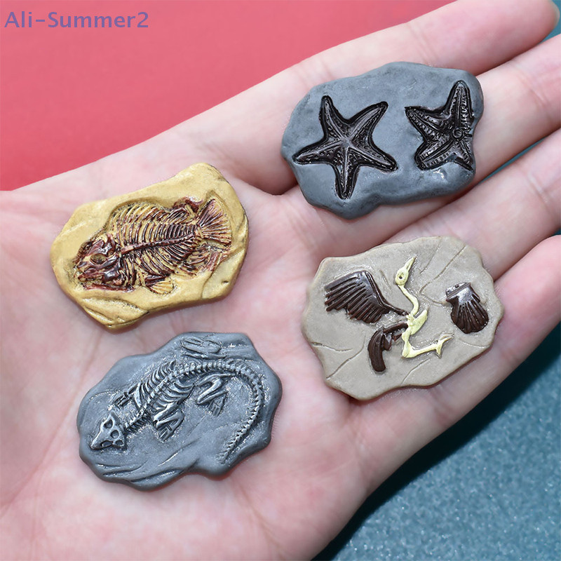 Mini Dinosaur Fossil Model Set - Dinosaur And Craft のレビューと価格