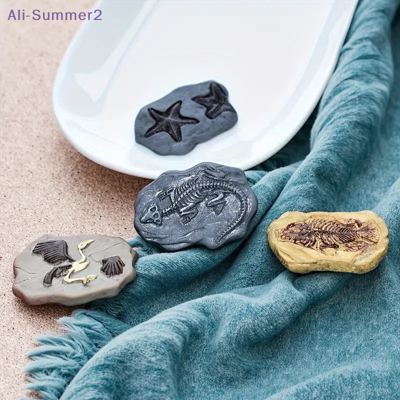 Mini Dinosaur Fossil Model Set - Dinosaur And Craft のレビューと価格