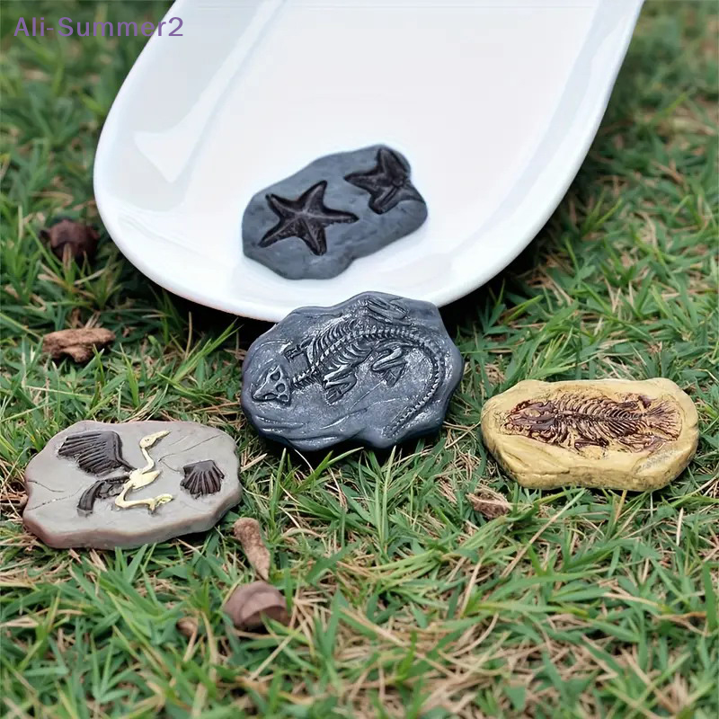 Mini Dinosaur Fossil Model Set - Dinosaur And Craft のレビューと価格