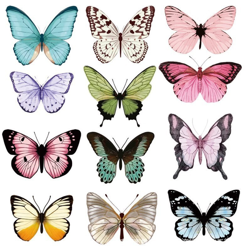 12pcs 3D Butterfly Wall Sticke - Art Craft Earth Day のレビューと価格