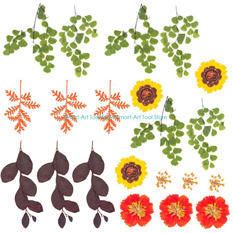 E1PB Natural Dry Flower Leaves - The Art And Craft Of Jewelry のレビューと価格