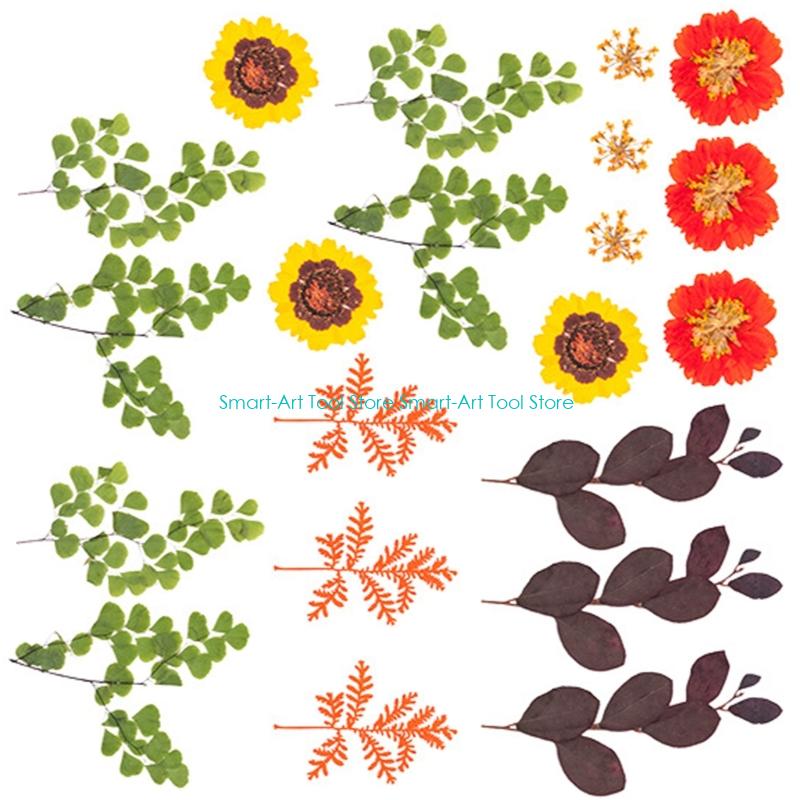 E1PB Natural Dry Flower Leaves - The Art And Craft Of Jewelry のレビューと価格