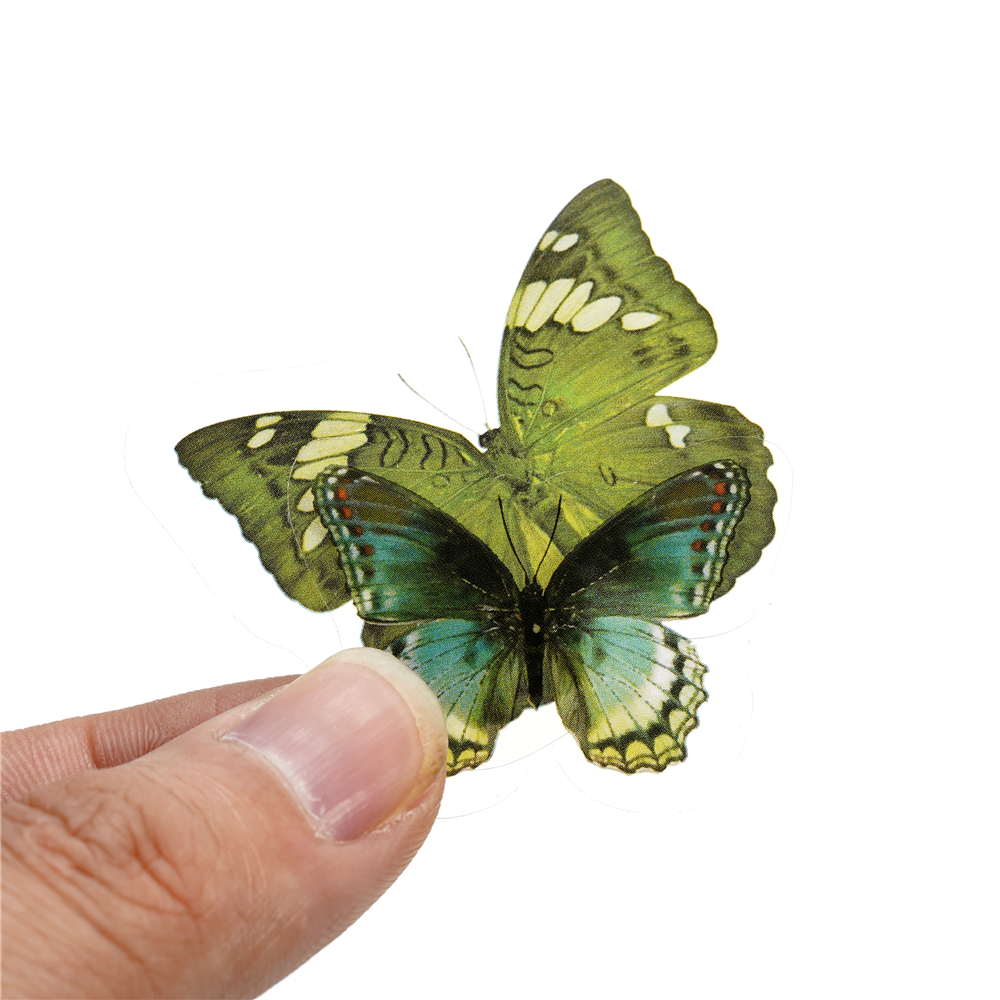 40pcs Colorful Butterfly Wings - The Art And Craft Of Jewelry のレビューと価格